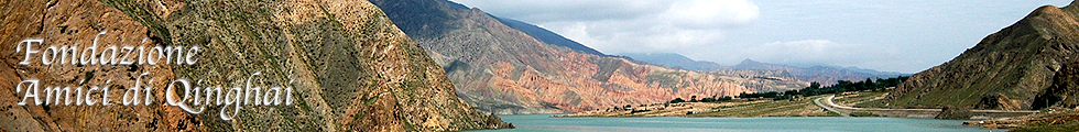 Fondazione Amici di Qinghai - Statute